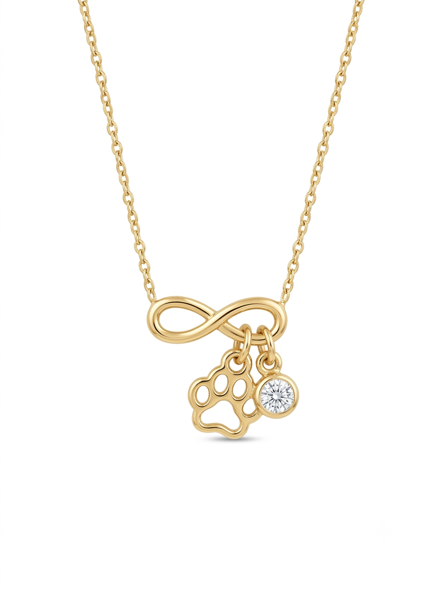 Mãe de Pet Necklace - Gold Paw