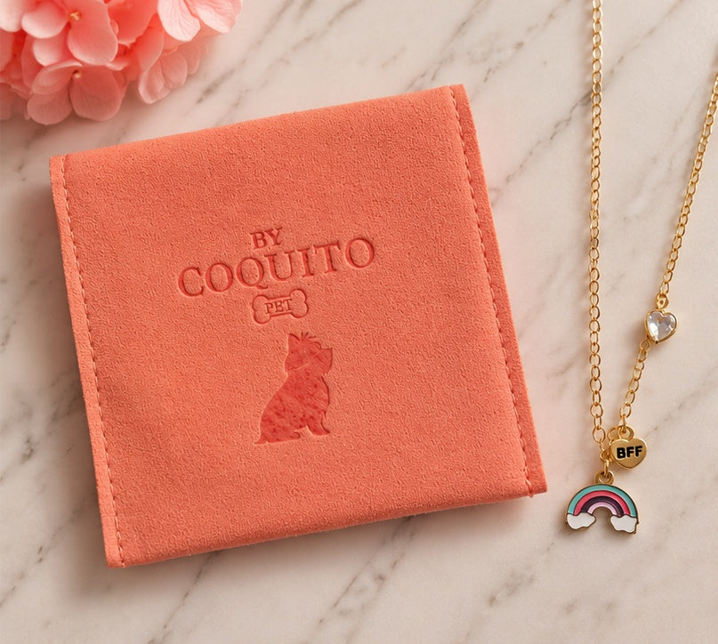 BFF Rainbow Necklace